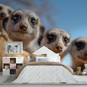 Playful meerkat mural wallpaper transforming children's playroom into desert adventure space