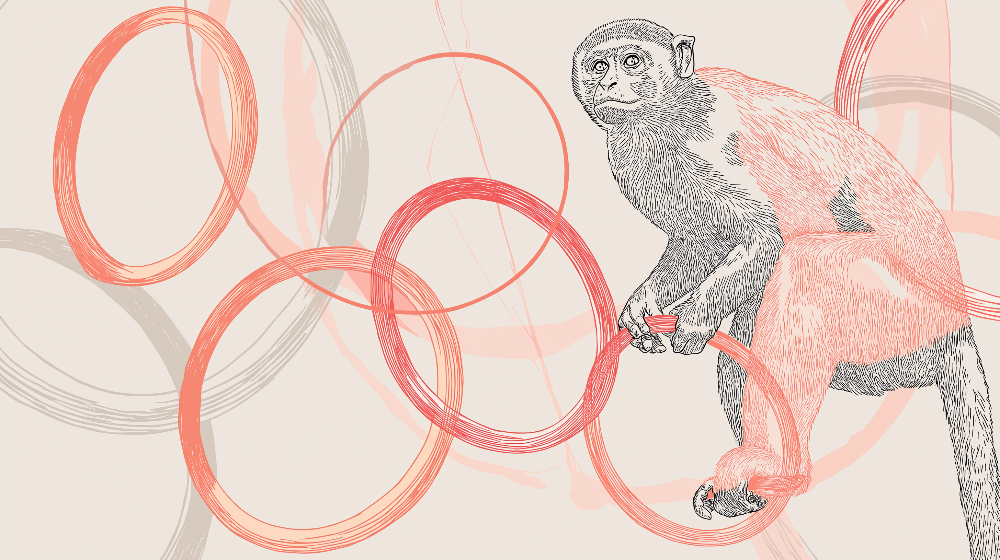 Kids-Mundo flat artwork preview of a sketched monkey among coral watercolour rings on beige.