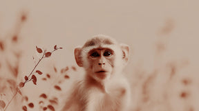 Detailed monkey and foliage mural wallpaper design pattern with pastel tones by Kids-Mundo