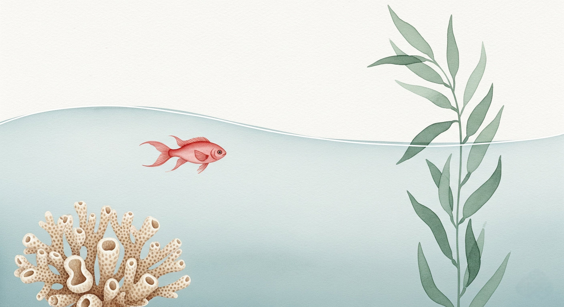 Detailed ocean fish and coral garden mural wallpaper design pattern by Kids-Mundo