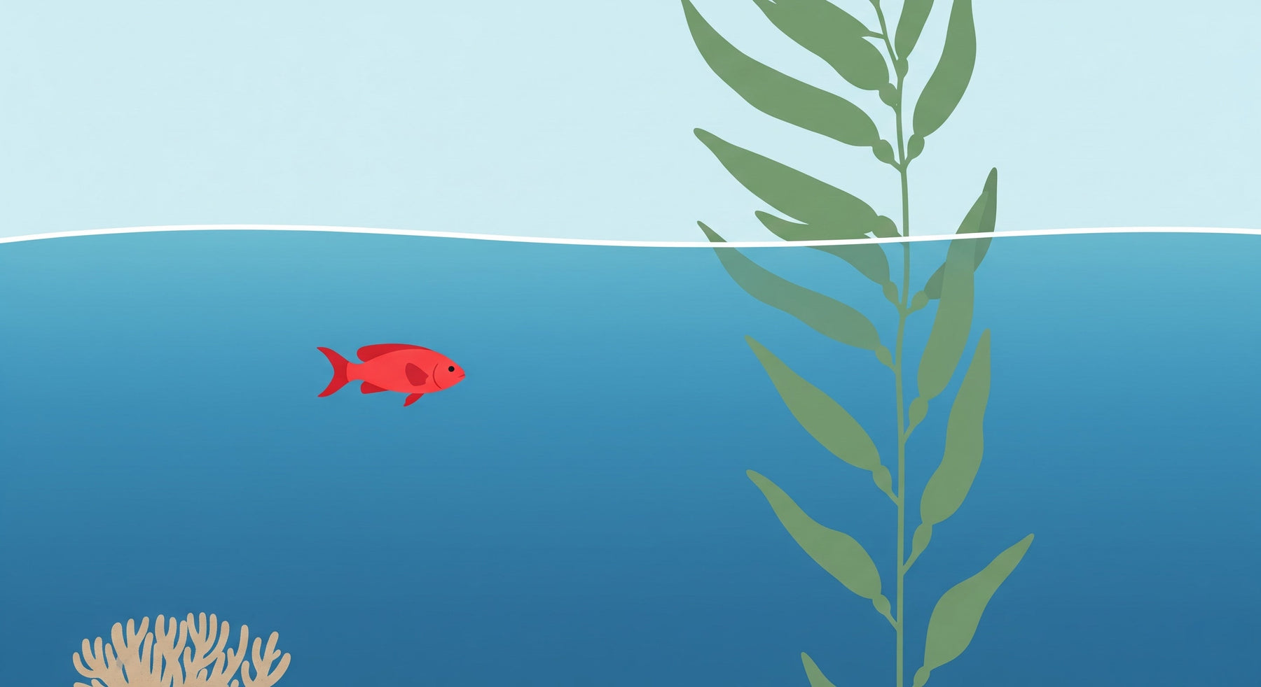 Detailed ocean fish mural wallpaper design pattern showing goldfish coral and seaweed by Kids-Mundo