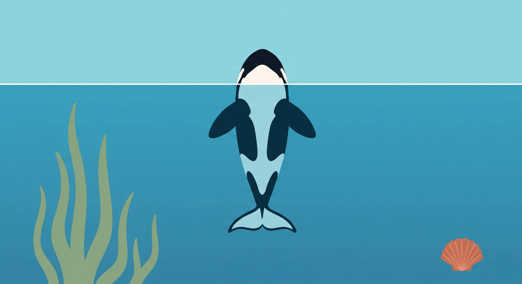 Detailed ocean orca and marine algae mural wallpaper design pattern by Kids-Mundo