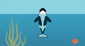 Detailed ocean orca and marine algae mural wallpaper design pattern by Kids-Mundo