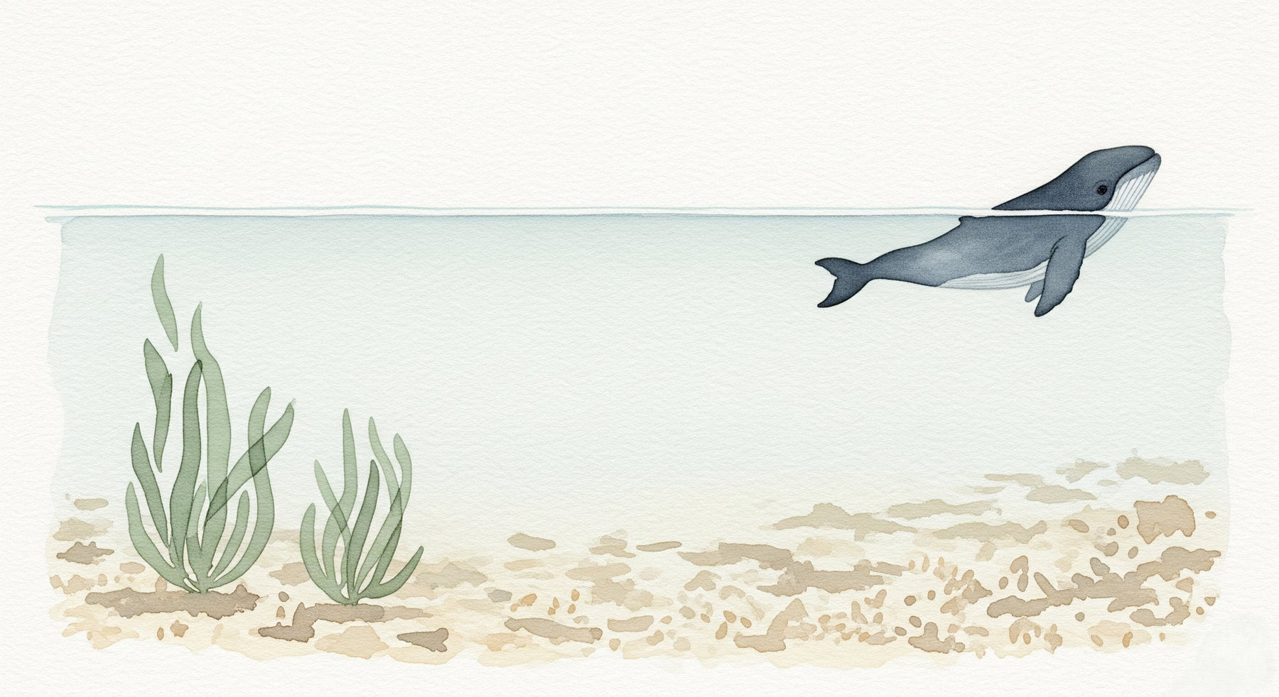 Detailed ocean whale mural wallpaper design pattern with seaweed and sandy floor by Kids-Mundo