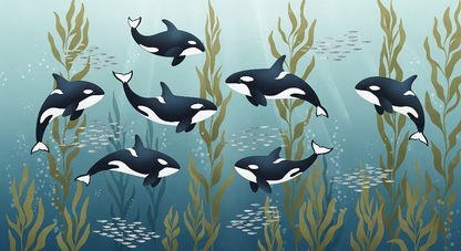 Kids-Mundo orca pod artwork showing orcas swimming through a teal kelp forest with schools of fish.