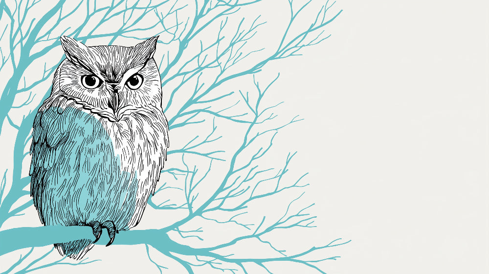 Detailed owl mural wallpaper design pattern showing wise owl on blue branch by Kids-Mundo