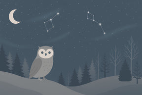 Detailed owl stars mural wallpaper design pattern featuring nighttime sky and peaceful owl by Kids-Mundo