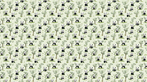 Detailed panda mural wallpaper design pattern showing bamboo forest with cute pandas by Kids-Mundo