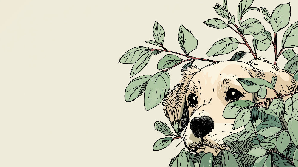 Detailed curious puppy among leaves mural wallpaper design pattern by Kids-Mundo