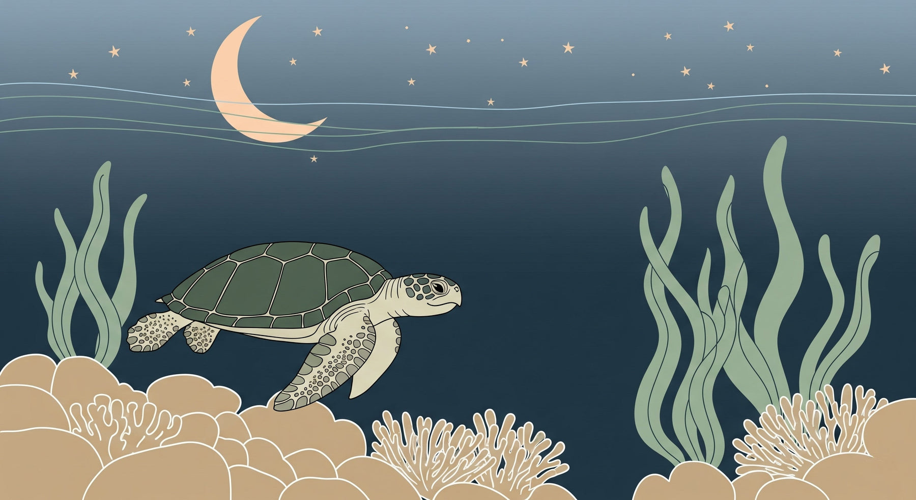 Detailed sea turtle and coral reef mural wallpaper design pattern with starry night sky by Kids-Mundo