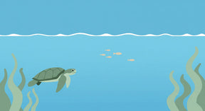 Detailed sea turtle underwater mural wallpaper design pattern with marine life by Kids-Mundo