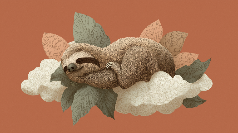 Sleepy Sloth on a Cloud Wall Mural