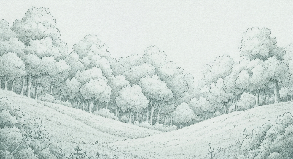 Kids-Mundo sage green forest artwork with delicate pencil-drawn trees and rolling hills