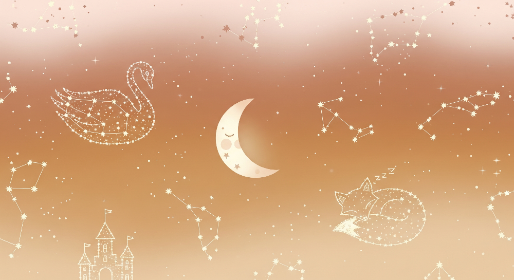 Sleepy Fox and Swan Constellation Night Sky Wall Mural
