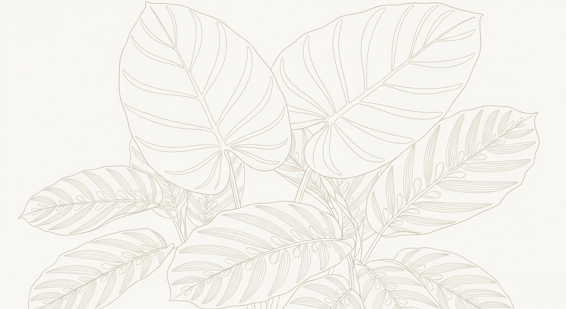 Detailed tropical leaves mural wallpaper design pattern with delicate line art by Kids-Mundo
