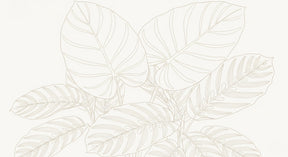 Detailed tropical leaves mural wallpaper design pattern with delicate line art by Kids-Mundo