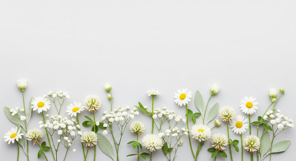 Detailed white floral mural wallpaper design pattern with daisies and baby's breath by Kids-Mundo